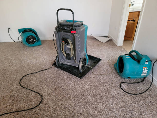 Best Flooded house restoration  in Lovejoy, GA