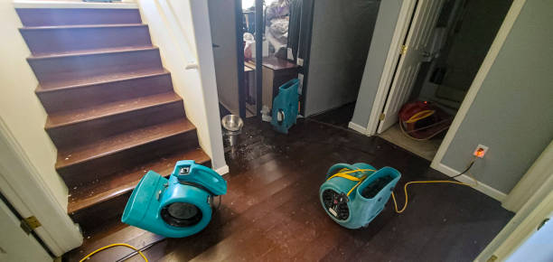 Best Flood damage cleanup  in Lovejoy, GA