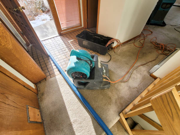  Lovejoy, GA Water damage restoration Pros