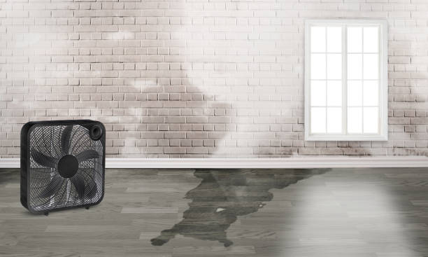 Best Flood restoration services  in Lovejoy, GA