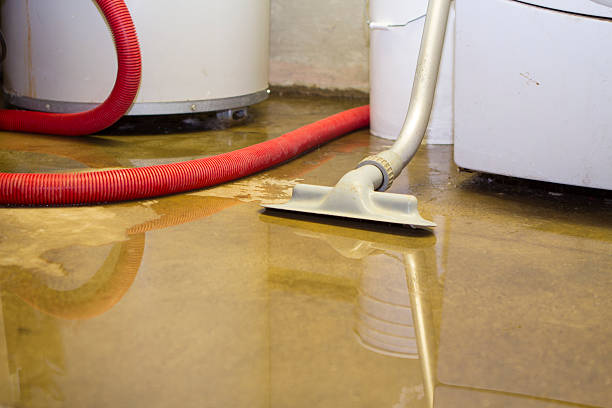 Best Fire Damage Restoration  in Lovejoy, GA