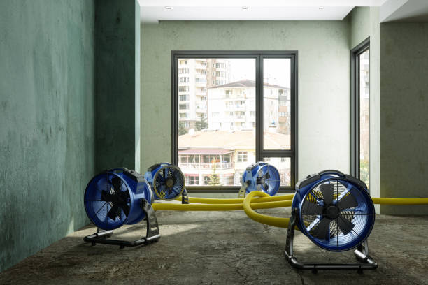 Best Carpet water damage restoration  in Lovejoy, GA